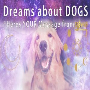 dreams about dogs crown89 avatar